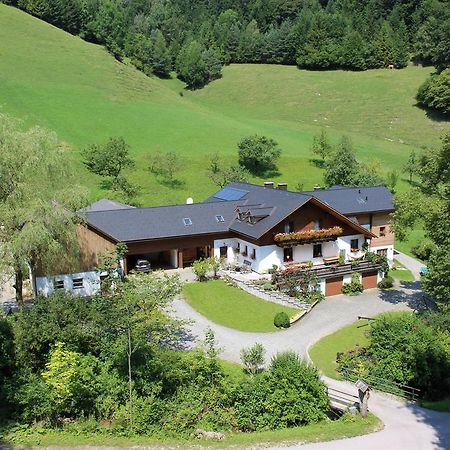 Urlaub Mitten Im Wald - Lueg Scheibbs Exteriör bild