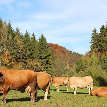 Urlaub Mitten Im Wald - Lueg Scheibbs Exteriör bild