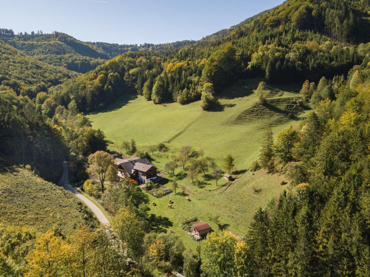 Urlaub Mitten Im Wald - Lueg Scheibbs Exteriör bild
