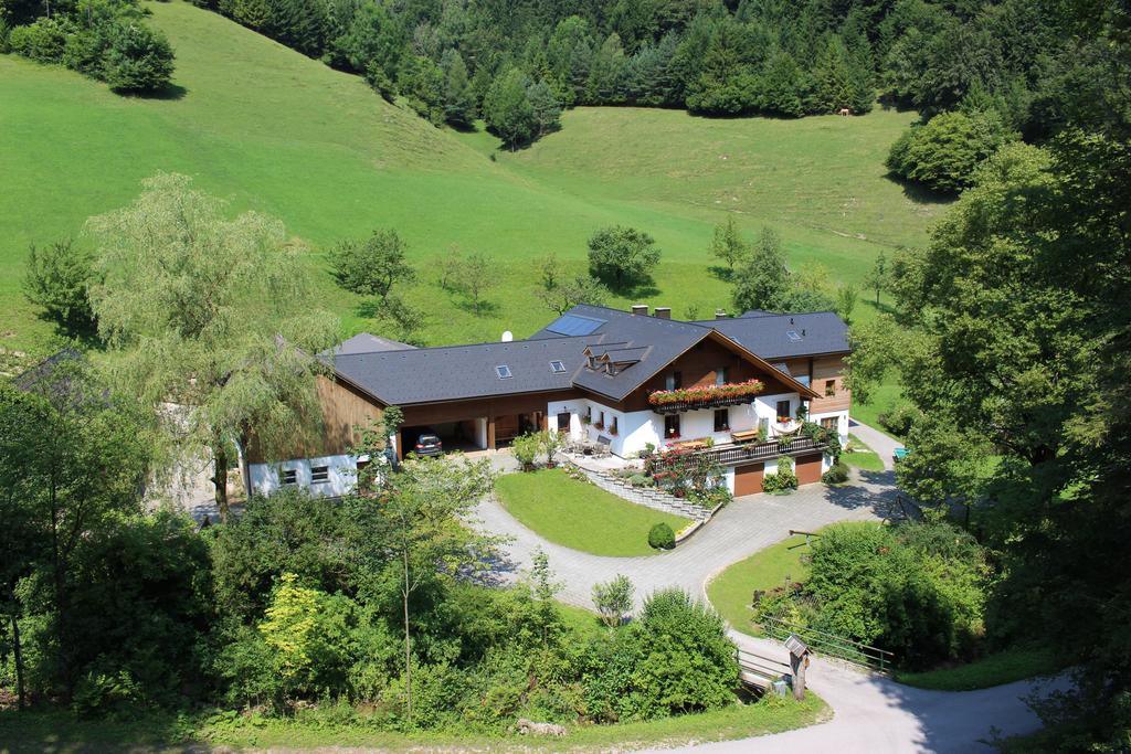Urlaub Mitten Im Wald - Lueg Scheibbs Exteriör bild