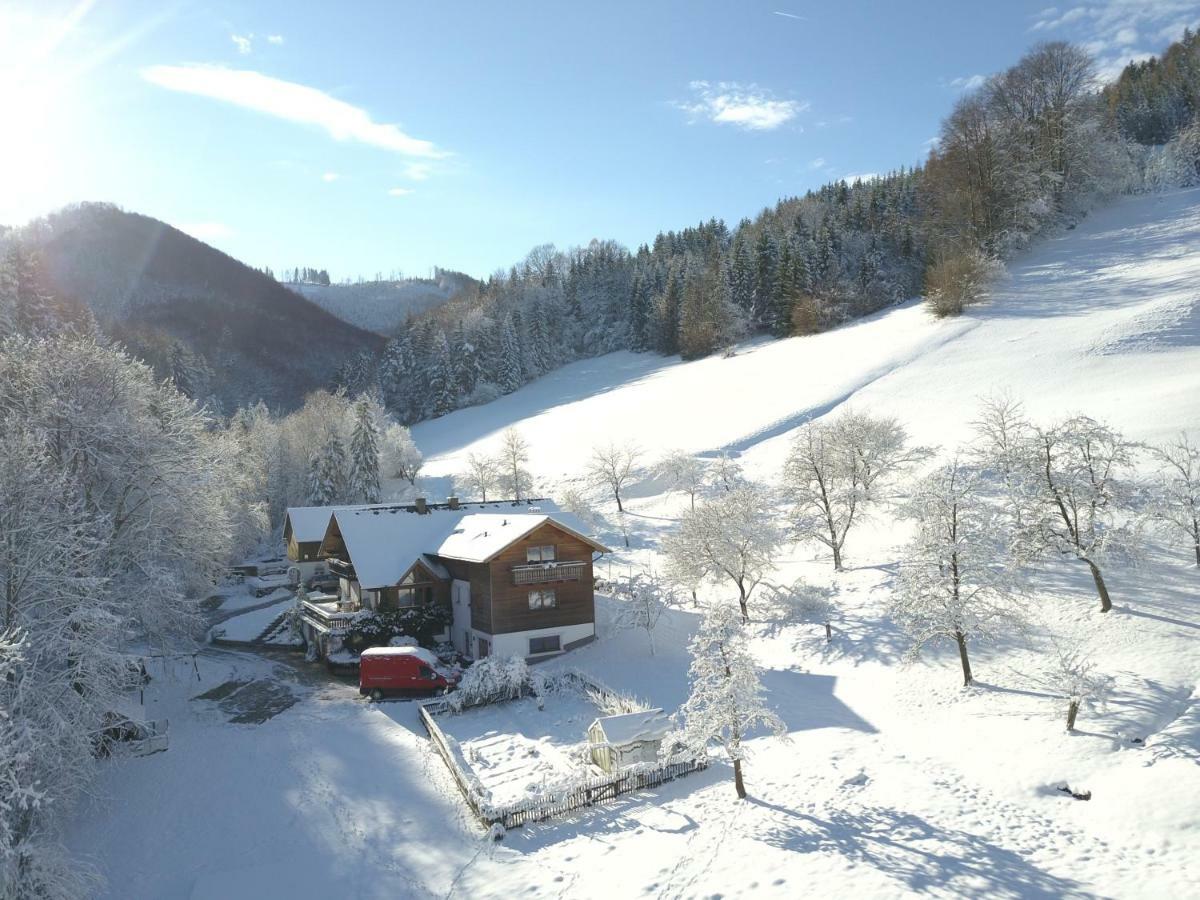Urlaub Mitten Im Wald - Lueg Scheibbs Exteriör bild