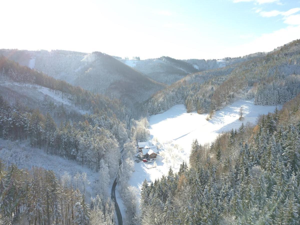 Urlaub Mitten Im Wald - Lueg Scheibbs Exteriör bild