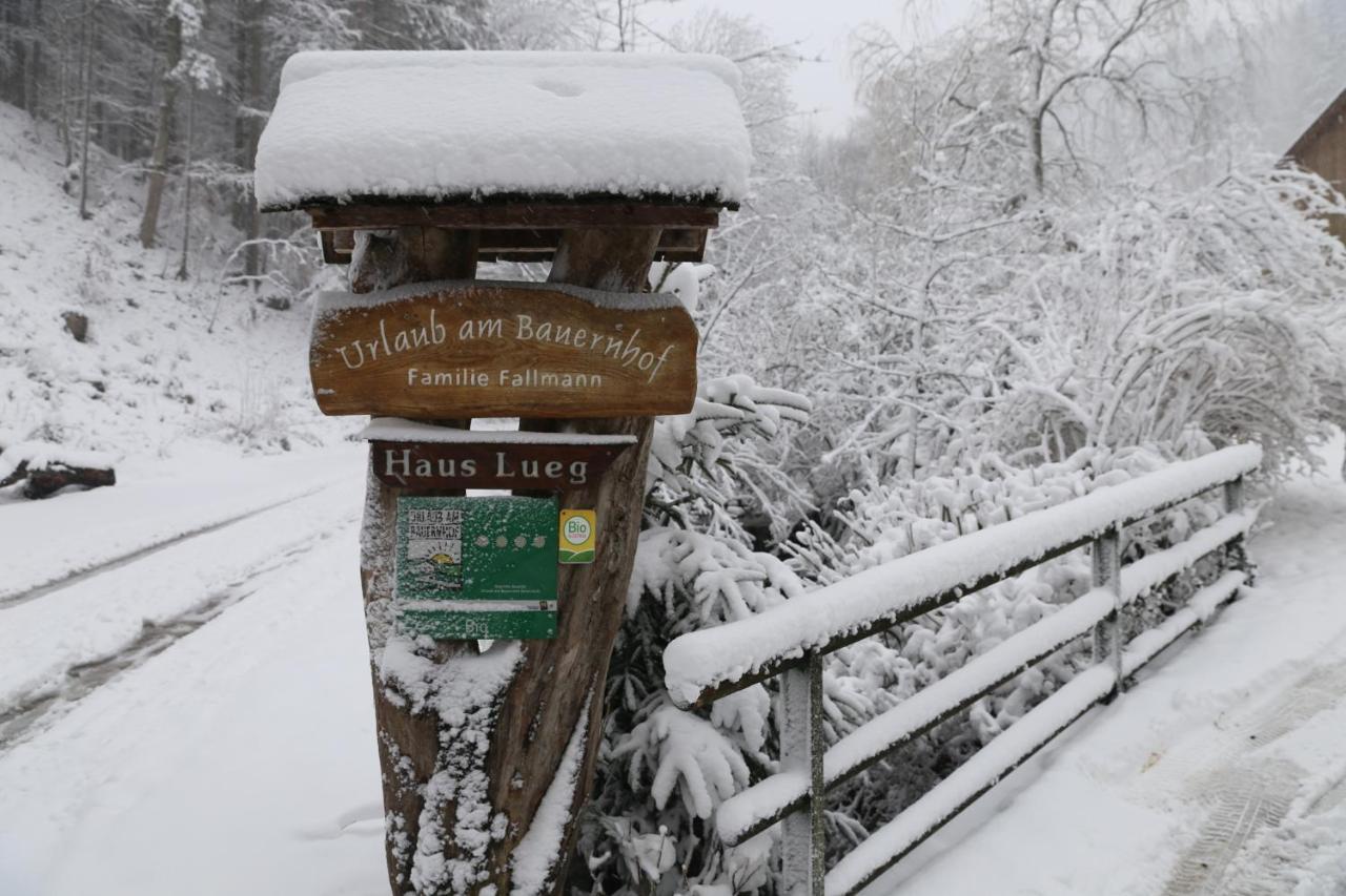 Urlaub Mitten Im Wald - Lueg Scheibbs Exteriör bild